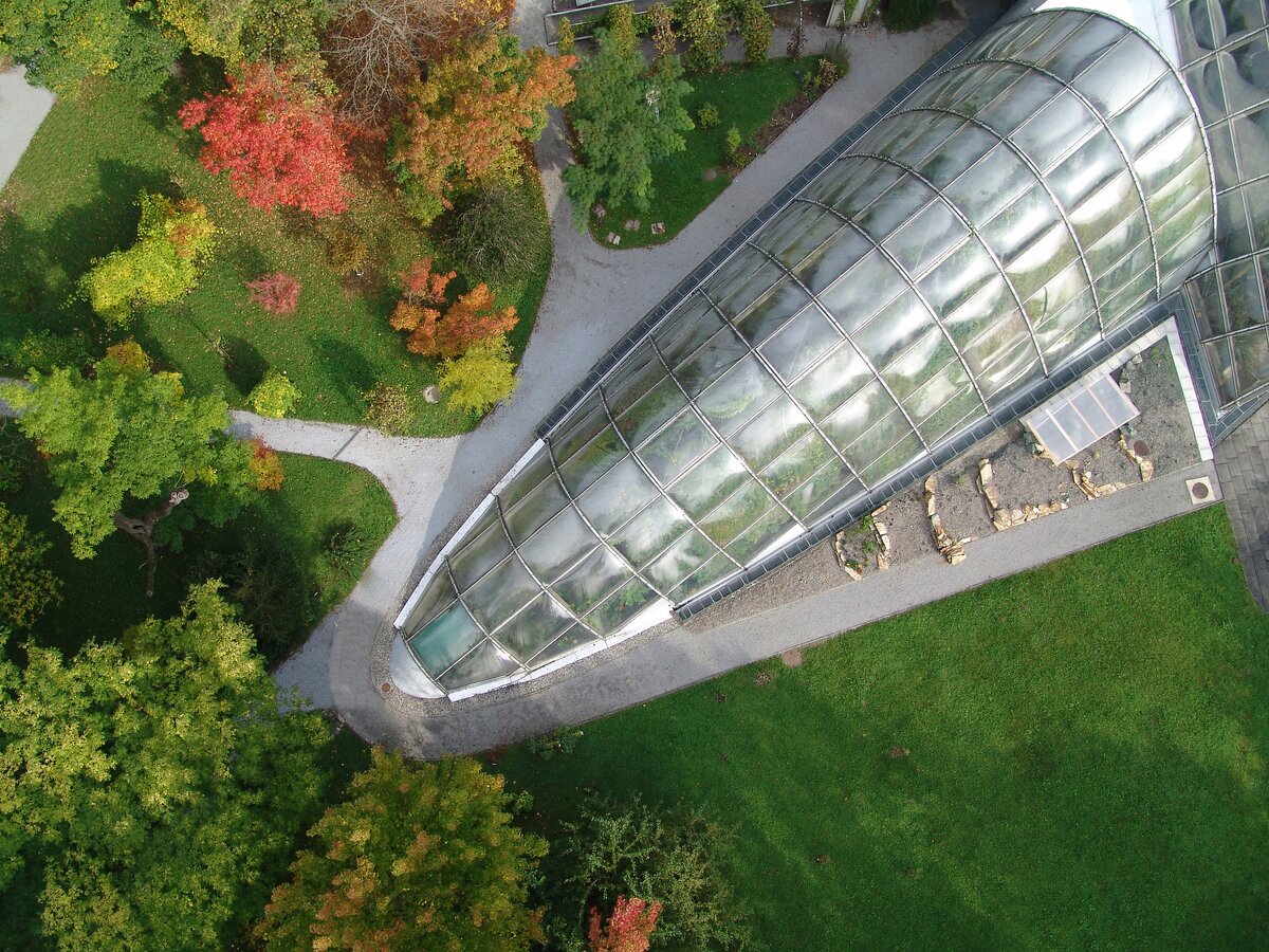 Botanischer Garten Graz Infos, Öffnungszeiten & Eintritt